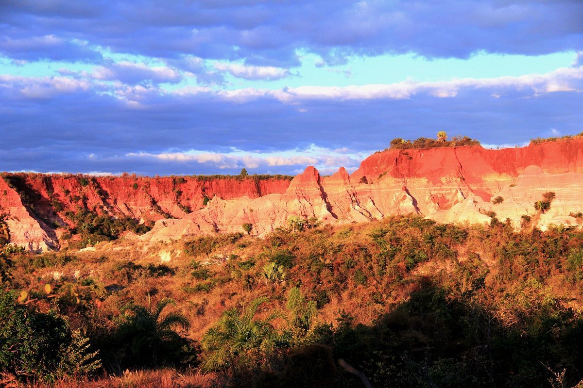 Avenue dei Baobab al tramonto