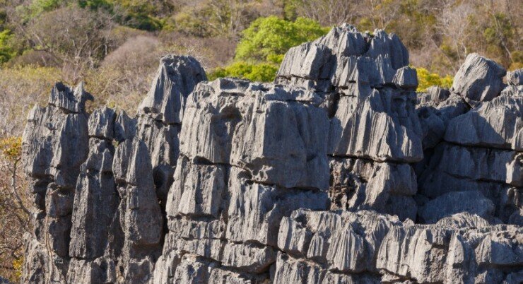 Parc National d’Ankarana: Guide Complet du Royaume Minéral du Nord de Madagascar