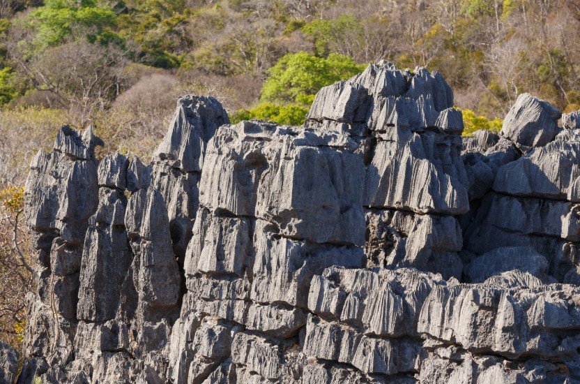 Le Parc National de l'Ankarana