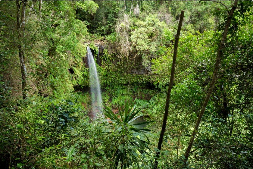 Parc National de la Montagne d’Ambre