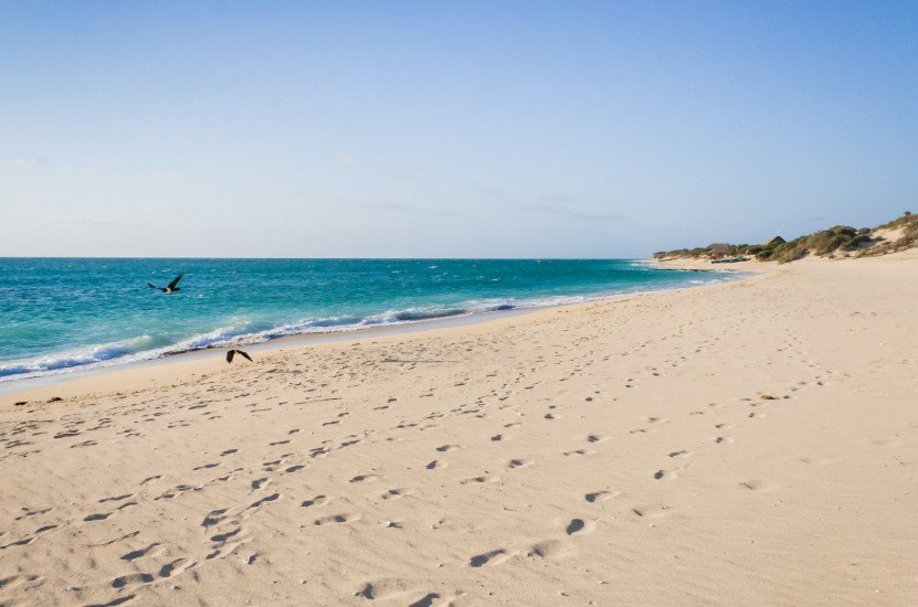 When is the Best Time to Visit Madagascar