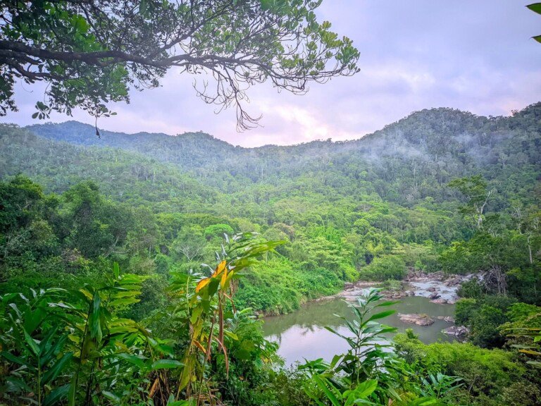 La Riviere Onibe dans le Parc national de Zahamena