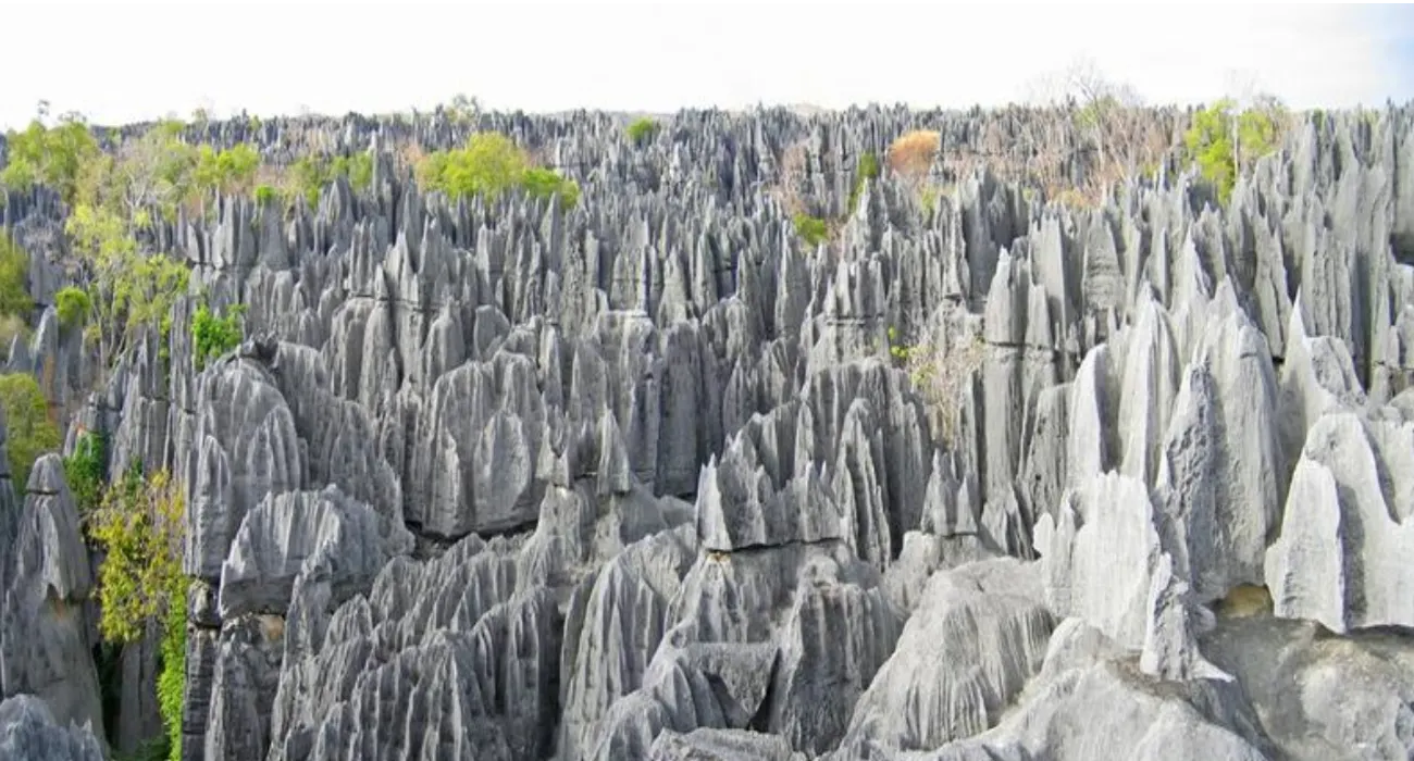 Parco Nazionale del Tsingy de Bemaraha