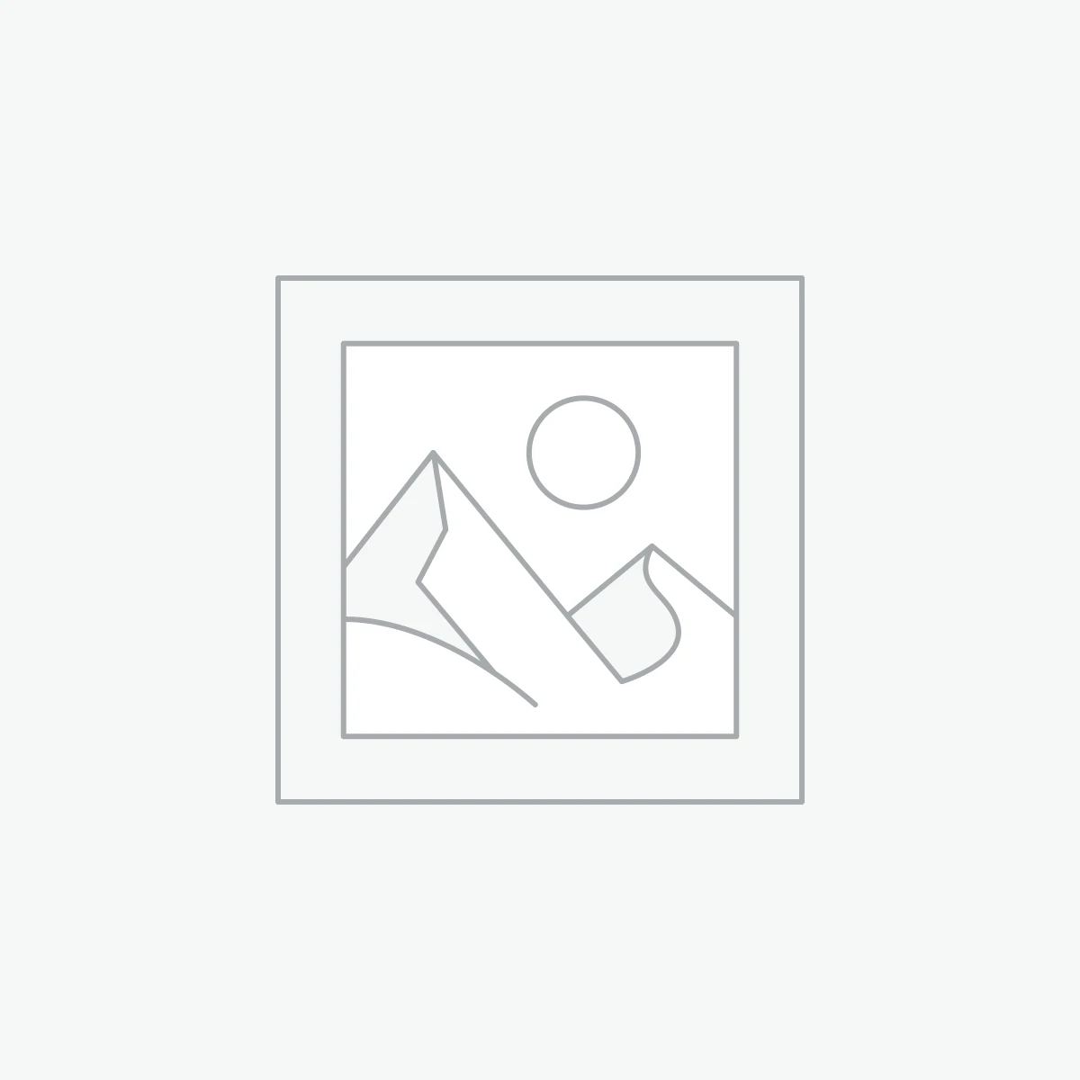 Amsterdam and Lake IJssel Cycle